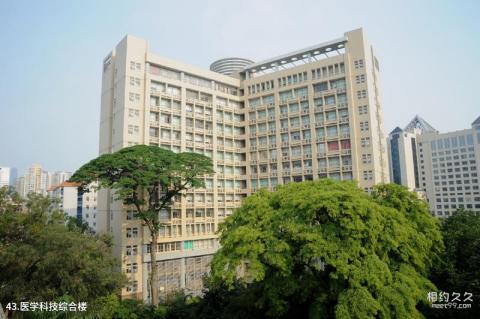 深圳野生动物园旅游攻略 深圳野生动物园旅游攻略