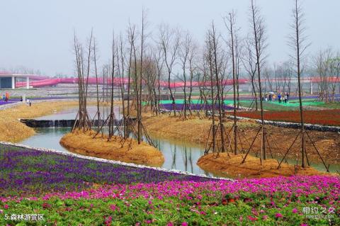 佛山三水温泉景区旅游攻略 佛山三水温泉景区旅游攻略