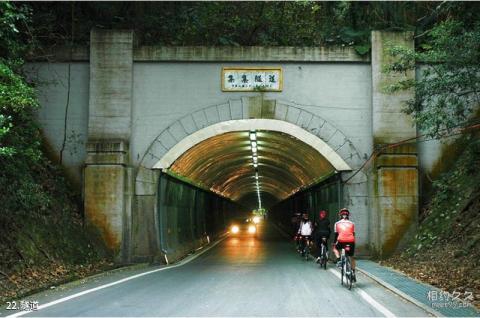 南投集集小镇旅游攻略 之 隧道
