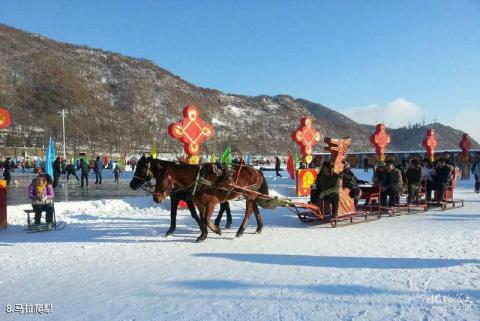 本溪东风湖冰雪大世界旅游攻略 之 马拉爬犁