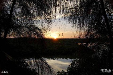 广东湛江红树林国家级自然保护区旅游攻略 之 暮色