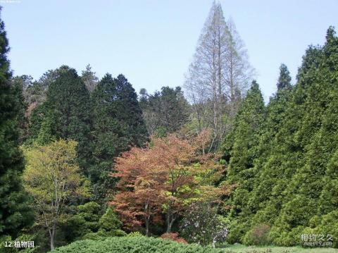 江西庐山风景名胜区旅游攻略 之 植物园 江西庐山风景名胜区旅游攻略 之 植物园