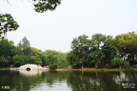 安庆菱湖风景区旅游攻略 之 湖泊