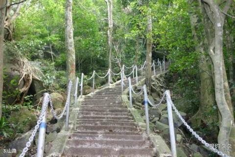 海南七仙岭风景区旅游攻略 之 山路