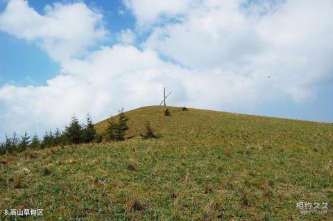山西灵石红崖峡谷旅游攻略 之 高山草甸区 山西灵石红崖峡谷旅游攻略 之 高山草甸区
