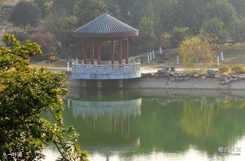 长沙花明楼旅游攻略 之 一叶湖