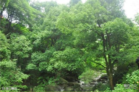 长沙黑麋峰森林公园旅游攻略 之 龙门幽谷 长沙黑麋峰森林公园旅游攻略 之 龙门幽谷