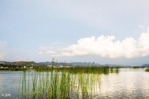 威宁草海国家级自然保护区旅游攻略 之 湿地 威宁草海国家级自然保护区旅游攻略 之 湿地