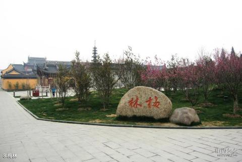 无锡梅村古镇旅游攻略 之 梅林
