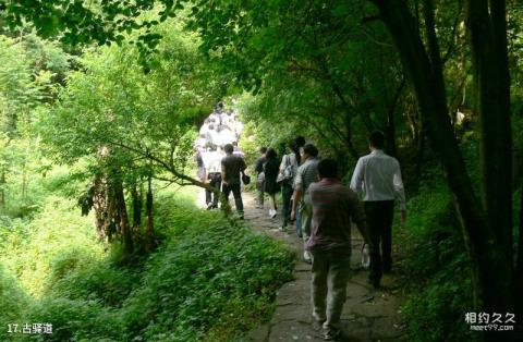 曲靖师宗凤凰谷生命文化主题公园旅游攻略 之 古驿道