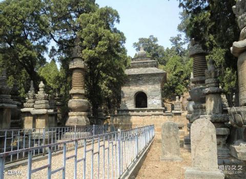 灵岩寺旅游区旅游攻略 之 墓塔林