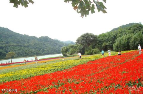 从化石门国家森林公园旅游攻略 之 七彩天池 从化石门国家森林公园旅游攻略 之 七彩天池