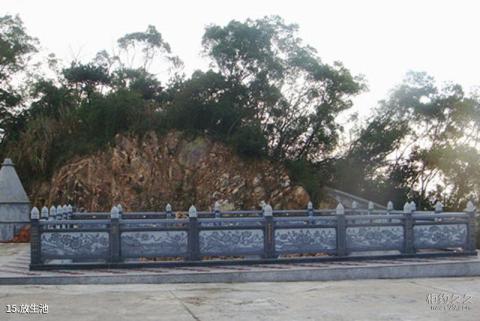 福建粗芦岛旅游攻略 之 放生池