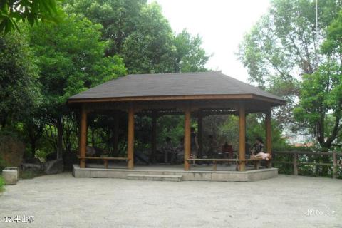 泰顺泗溪溪东桥旅游攻略 泰顺泗溪溪东桥旅游攻略