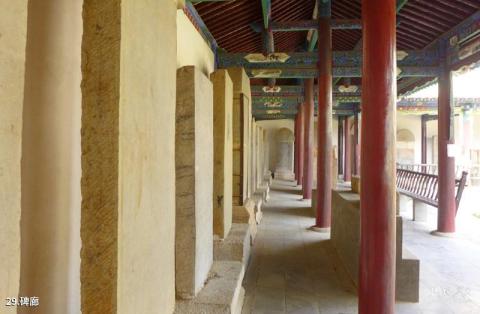 大连生命奥秘博物馆旅游攻略 大连生命奥秘博物馆旅游攻略