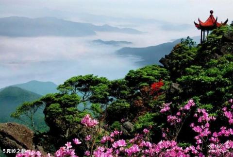 赣州阳岭国家森林公园旅游攻略 之 阳岭之巅 赣州阳岭国家森林公园旅游攻略 之 阳岭之巅