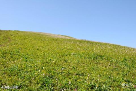 北京松山森林公园旅游攻略 之 海坨山草甸