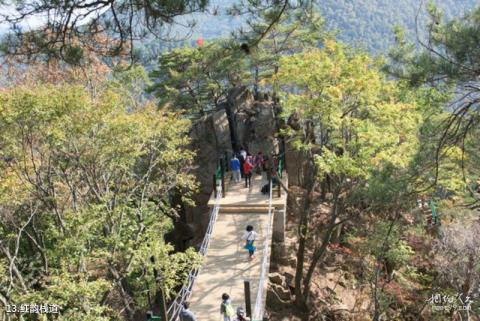本溪桓仁枫林谷森林公园旅游攻略 之 红韵栈道