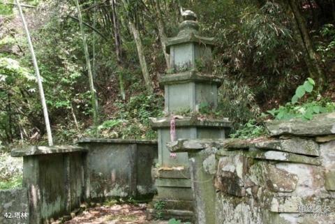 武冈法相岩—云山风景区旅游攻略 之 塔林 武冈法相岩—云山风景区旅游攻略 之 塔林