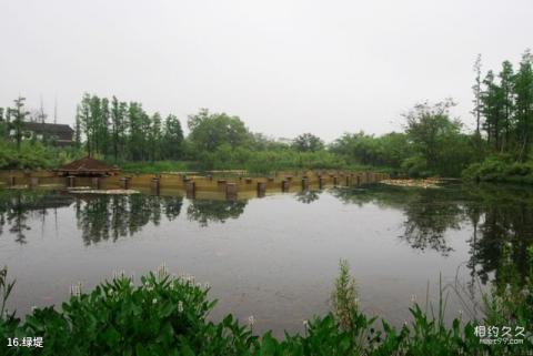 西溪国家湿地公园旅游攻略 之 绿堤 西溪国家湿地公园旅游攻略 之 绿堤