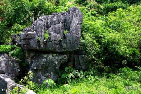 广西香桥岩风景名胜区旅游攻略 之 石林