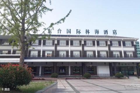 东台黄海森林公园旅游攻略 之 酒店