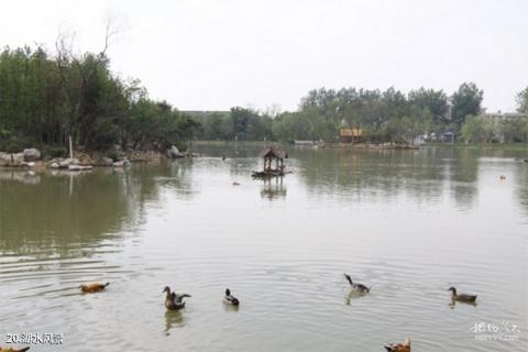 扬州茱萸湾公园旅游攻略 之 湖水风景