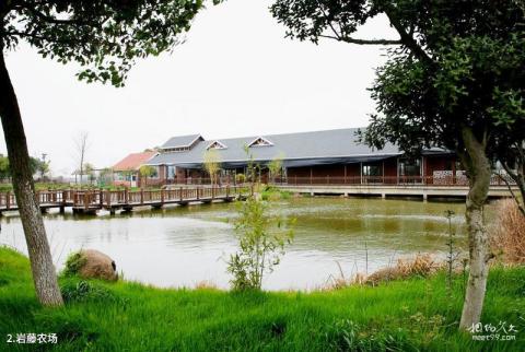 句容岩藤农场旅游攻略 之 岩藤农场