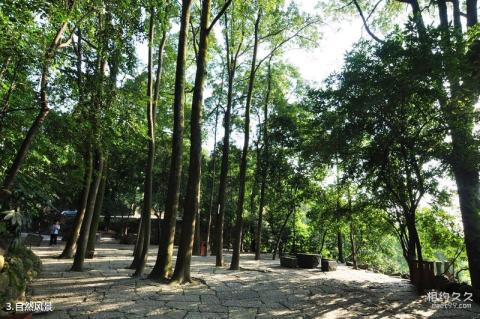 重庆抗战遗址博物馆旅游攻略 之 自然风景
