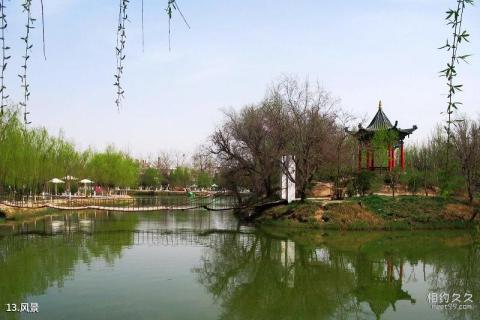 宁夏银川中山公园旅游攻略 之 风景