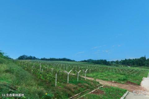 平昌驷马水乡旅游区旅游攻略 之 生态果林基地 平昌驷马水乡旅游区旅游攻略 之 生态果林基地