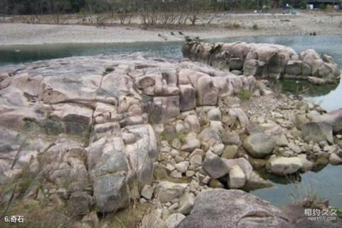 温州青龙湖风景区旅游攻略 之 奇石