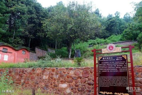 大理祥云水目山文化旅游区旅游攻略 之 茶花王
