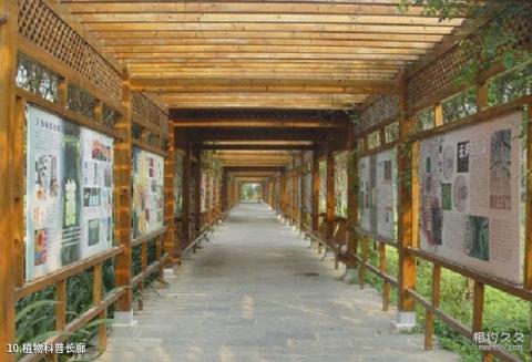 南宁花花大世界旅游攻略 之 植物科普长廊 南宁花花大世界旅游攻略 之 植物科普长廊