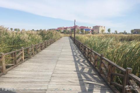 齐齐哈尔龙腾生态温泉度假庄园旅游攻略 之 湿地栈道