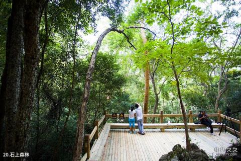 荔波樟江风景名胜区旅游攻略 之 石上森林 荔波樟江风景名胜区旅游攻略 之 石上森林