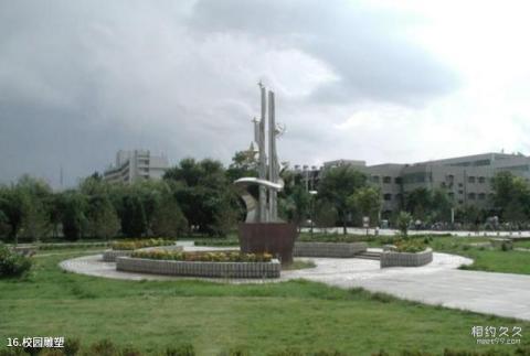 宁夏大学校园风光 之 校园雕塑