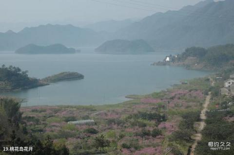 台州黄岩长潭水库旅游攻略 之 桃花岛花开