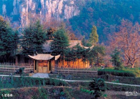 余姚丹山赤水旅游攻略 之 茗香斋