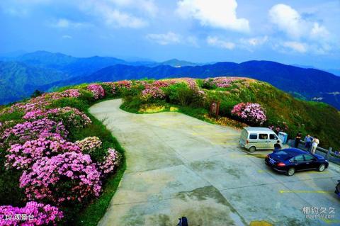 湖南阳明山国家级自然保护区旅游攻略 之 观景台