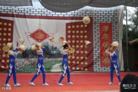 玉环观光农业园旅游攻略 之 杂技