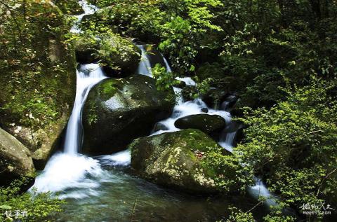 宜丰洞山风景名胜区旅游攻略 之 溪流