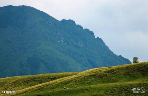 曲靖会泽大海草山旅游攻略 之 牯牛寨 曲靖会泽大海草山旅游攻略 之 牯牛寨