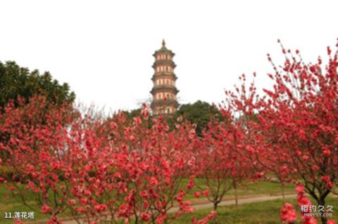 广州莲花山旅游区旅游攻略 之 莲花塔 广州莲花山旅游区旅游攻略 之 莲花塔