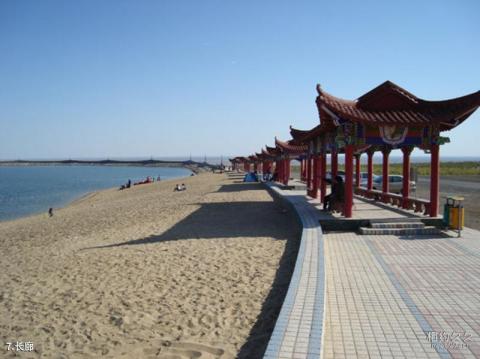 克拉玛依白沙滩旅游攻略 之 长廊