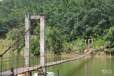西双版纳曼迈桑康风景区旅游攻略 之 吊桥观湖