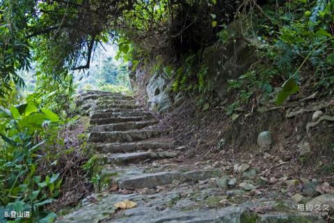 琼中百花岭风景区旅游攻略 之 登山道