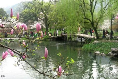 杭州太子湾公园旅游攻略 之 桥