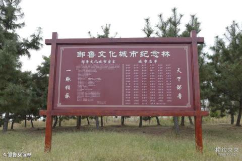 邹城护驾山旅游攻略 之 邹鲁友谊林