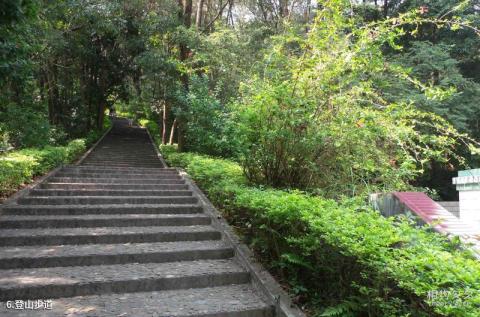 广东神光山国家森林公园旅游攻略 之 登山步道